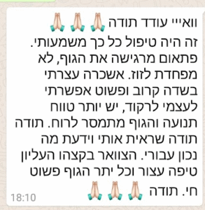 המלצה_1